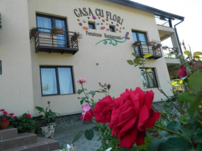Гостиница Pensiunea Casa cu Flori  Чишнади